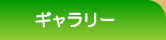 ギャラリー